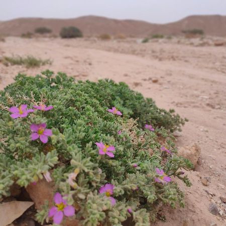 Desert Path Be'er Ora ภายนอก รูปภาพ
