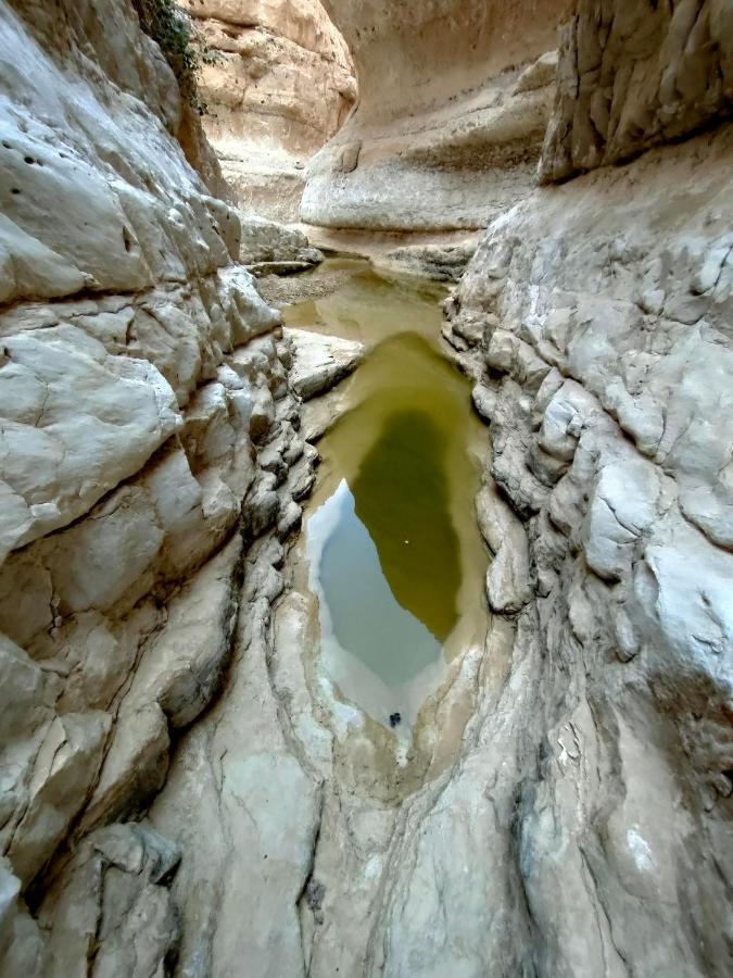 Desert Path Be'er Ora ภายนอก รูปภาพ