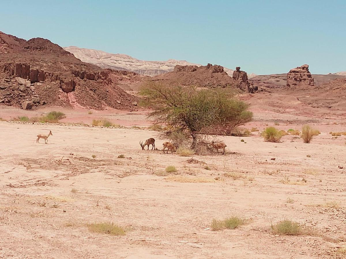 Desert Path Be'er Ora ภายนอก รูปภาพ